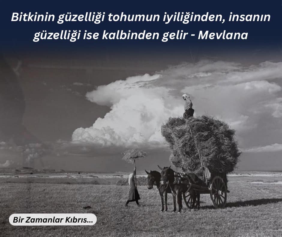 Bitkinin güzelliği tohumun iyiliğinden, insanın güzelliği ise kalbinden gelir. - Mevlânâ