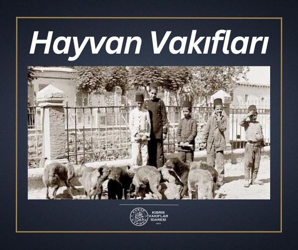 Hayvan Vakıfları