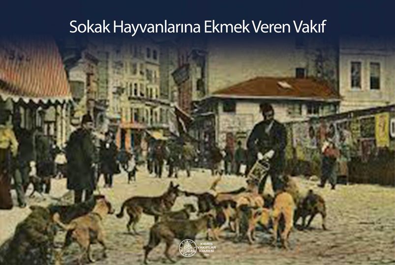 Sokak Hayvanlarına Ekmek Veren Vakıf