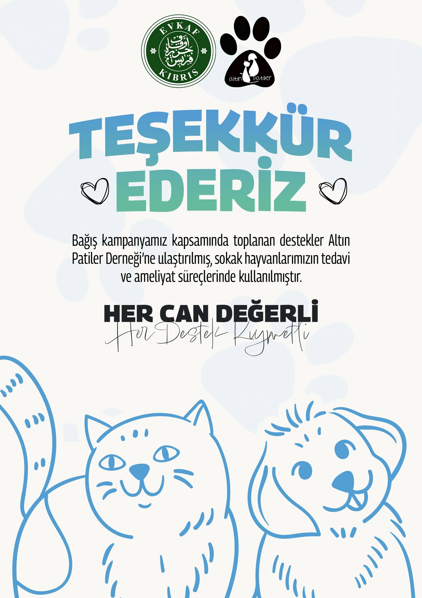 Bağış kutularına bırakılan her katkı, can dostlarımız için umut oldu
