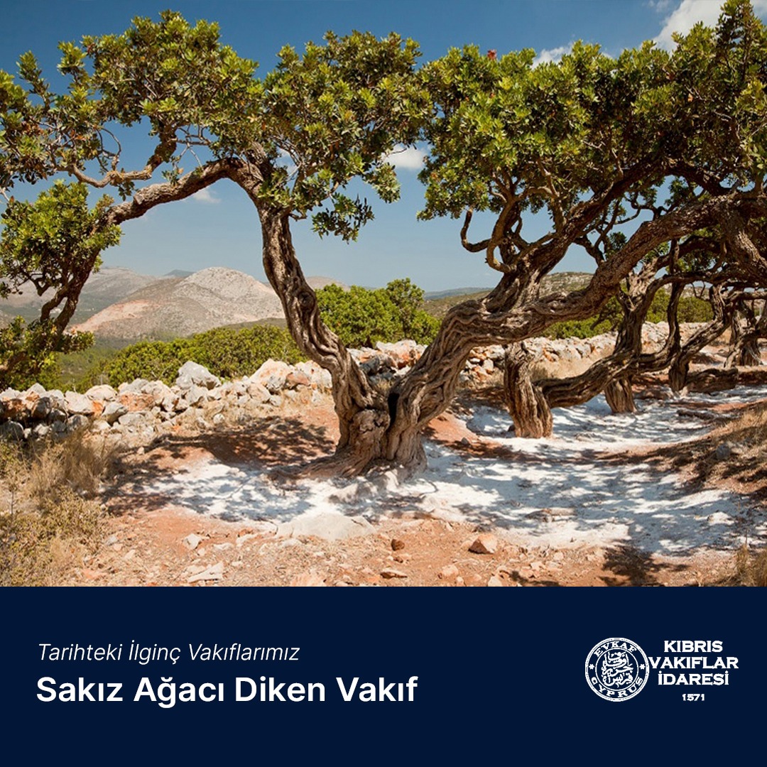 Sakız Ağacı Diken Vakıf