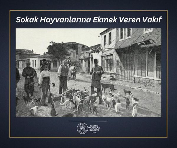 Sokak Hayvanlarına Ekmek Veren Vakıf
