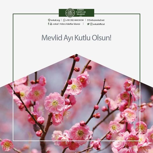 Happy Mawlid Month.