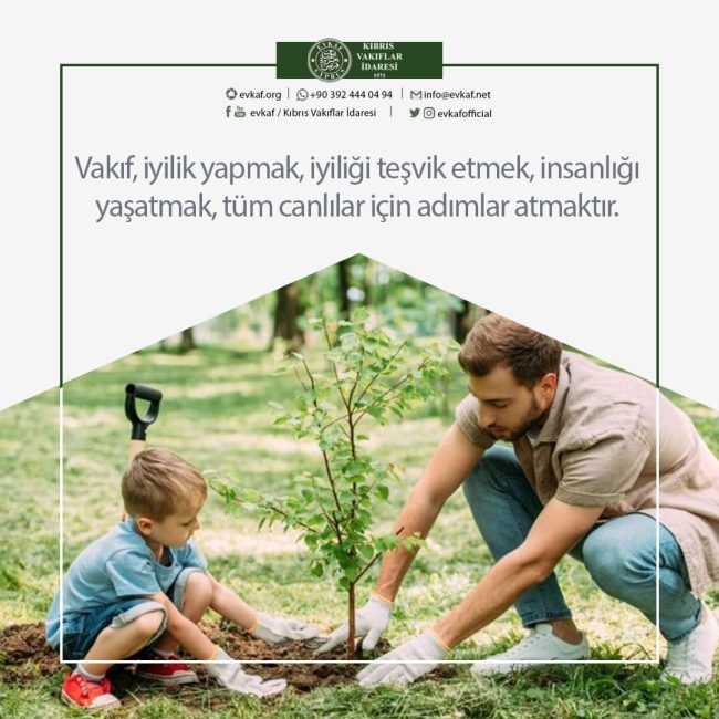WHAT IS THE FOUNDATION?