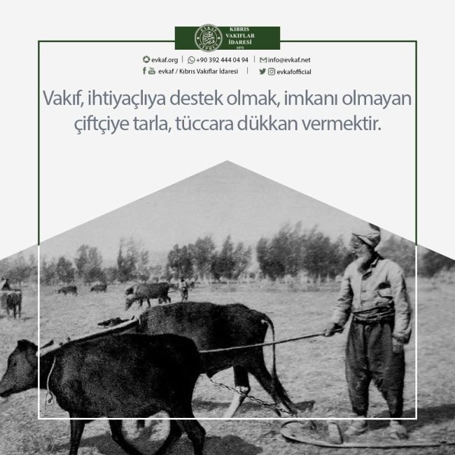 WHAT IS THE FOUNDATION?
