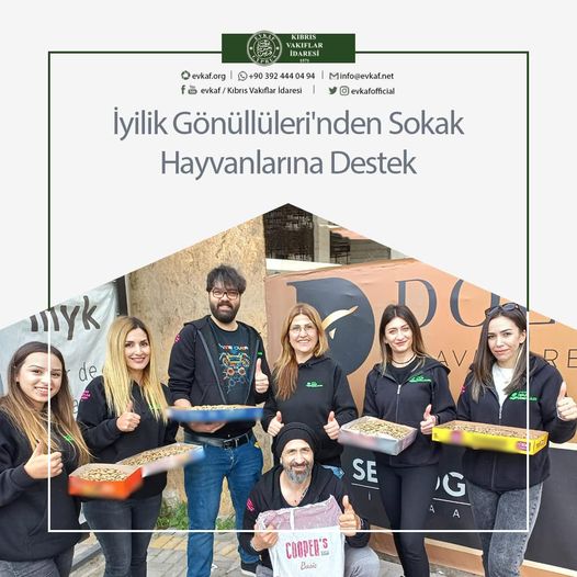 Support to Stray Animals from Kindness Volunteers.